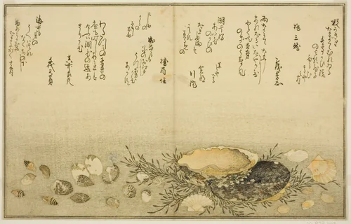 Chidori-gai, itaya-gai, awabi, utsuse-gai, asari-gai, and monoara-gai, from the illustrated book "Gifts from the Ebb Tide (Shiohi no tsuto)" by Kitagawa Utamaro (喜多川歌麿), print, 1789