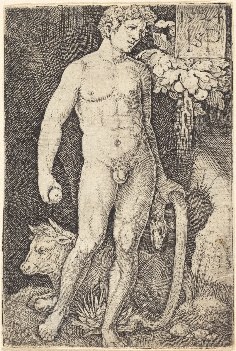 Adam Standing by Sebald Beham, print, 1524