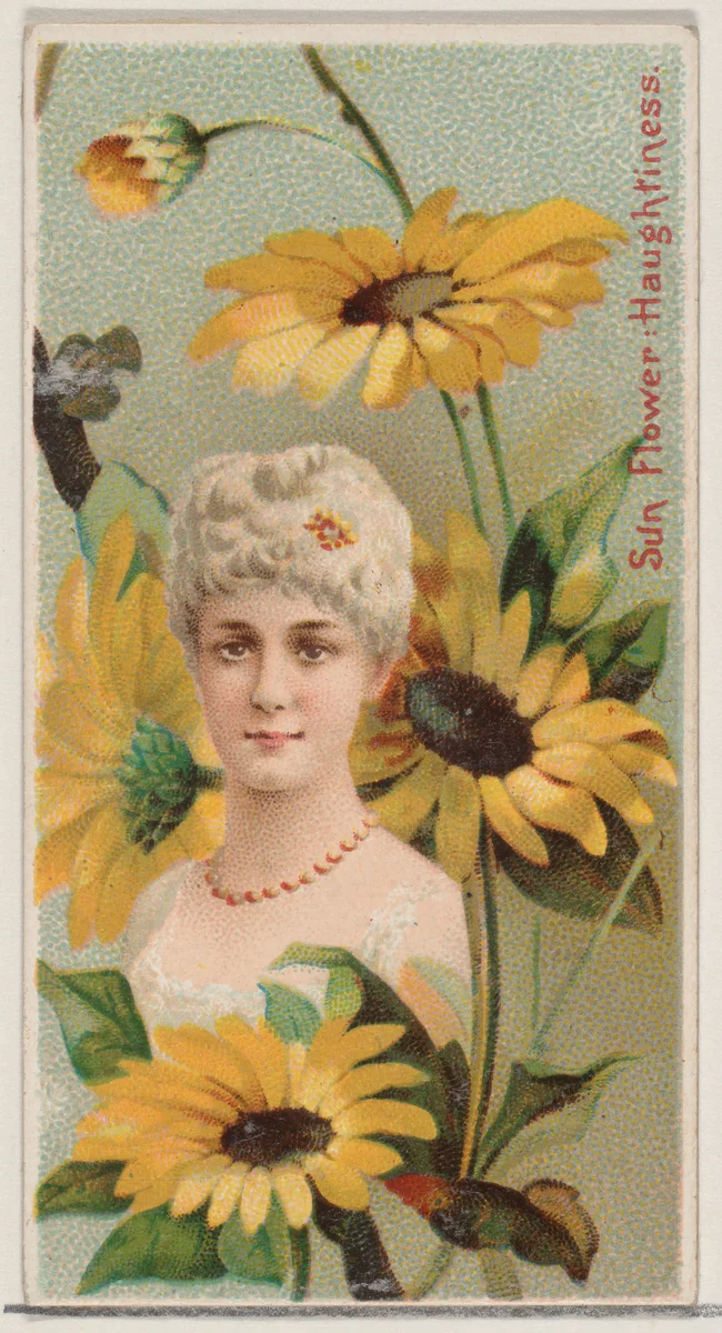 Sunflower: Haughtiness, from the series Floral Beauties and Language of Flowers (N75) for Duke brand cigarettes by American Tobacco Company, print, 1892