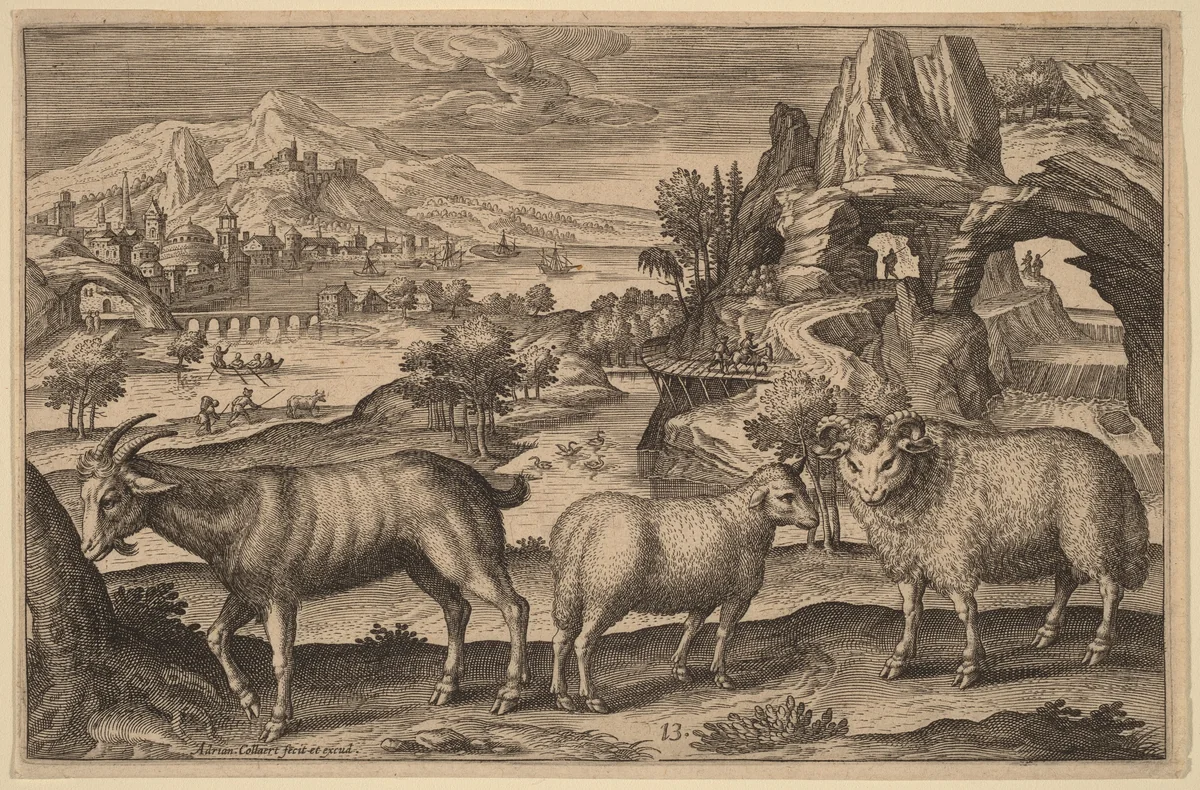 A Goat, a Ewe, and a Ram by Adriaen Collaert, print, 1592-1602