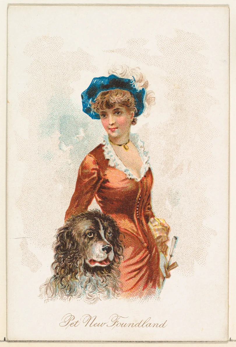 Pet Newfoundland, from the Household Pets series (N194) issued by Wm. S. Kimball & Co. by William S. Kimball & Company, print, 1891