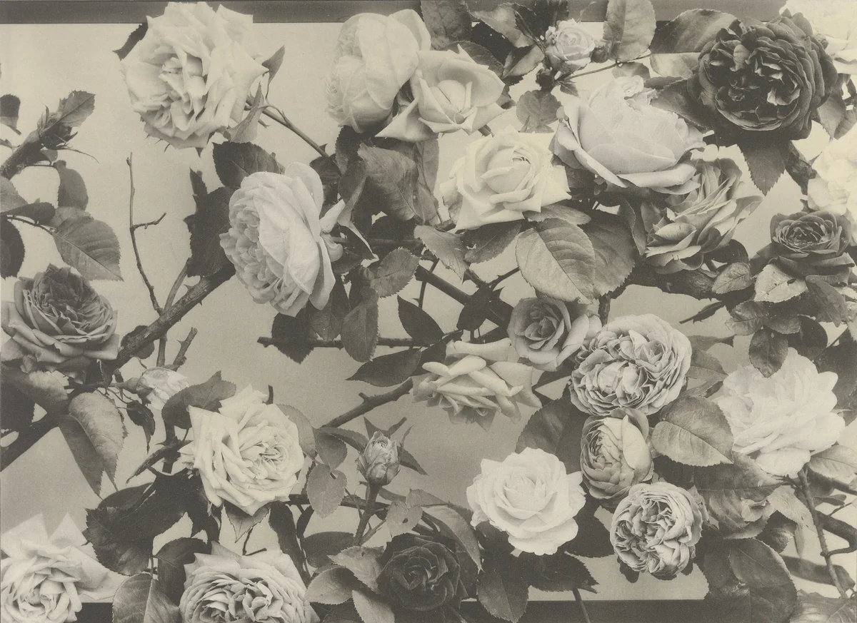 Page from Festons und Dekorative Gruppen by Unidentified Photographer, photograph, 1893