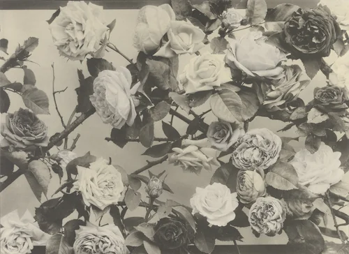 Page from Festons und Dekorative Gruppen by Unidentified Photographer, photograph, 1893