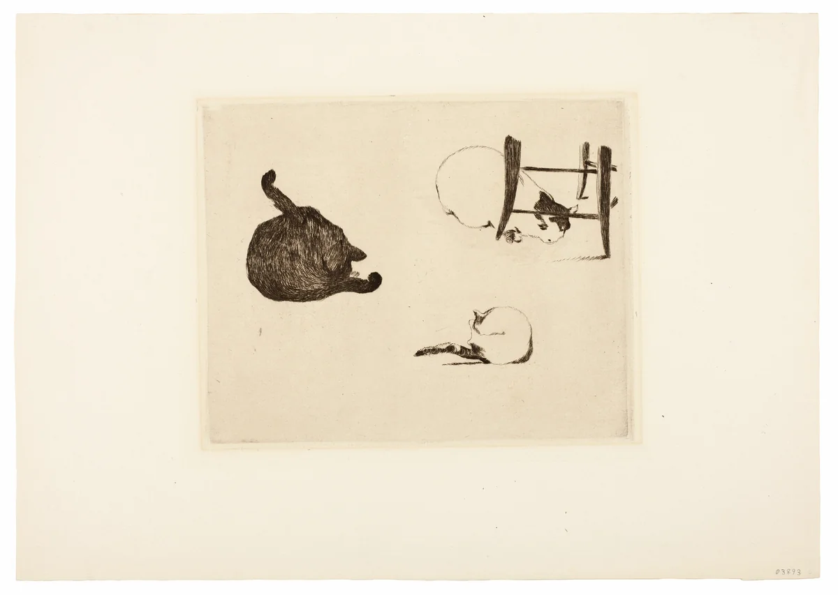 The Cats by Édouard Manet, print, 1868-1869