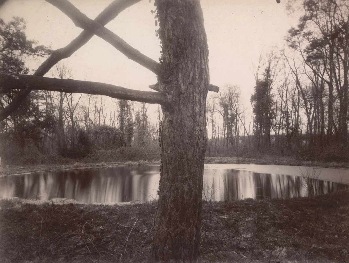 Parc de Sceaux by Eugène Atget, photograph, 1925