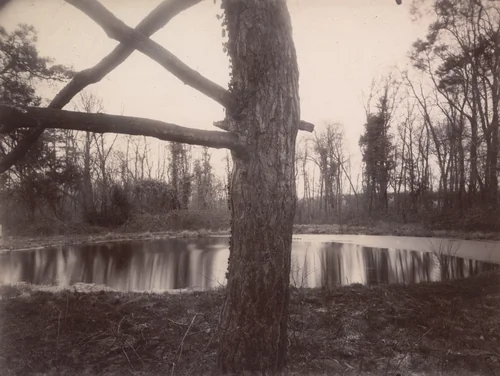Parc de Sceaux by Eugène Atget, photograph, 1925