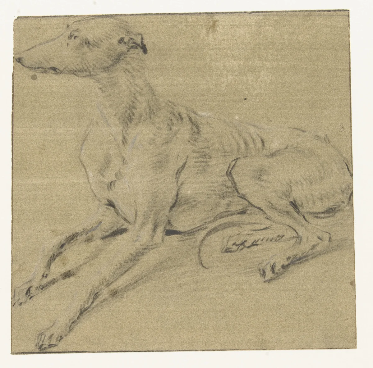 Een liggende hond, van opzij gezien by Frans Snijders, drawing, 1589-1657