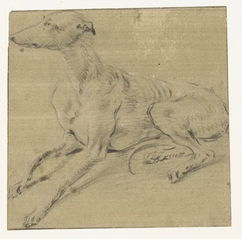 Een liggende hond, van opzij gezien by Frans Snijders, drawing, 1589-1657