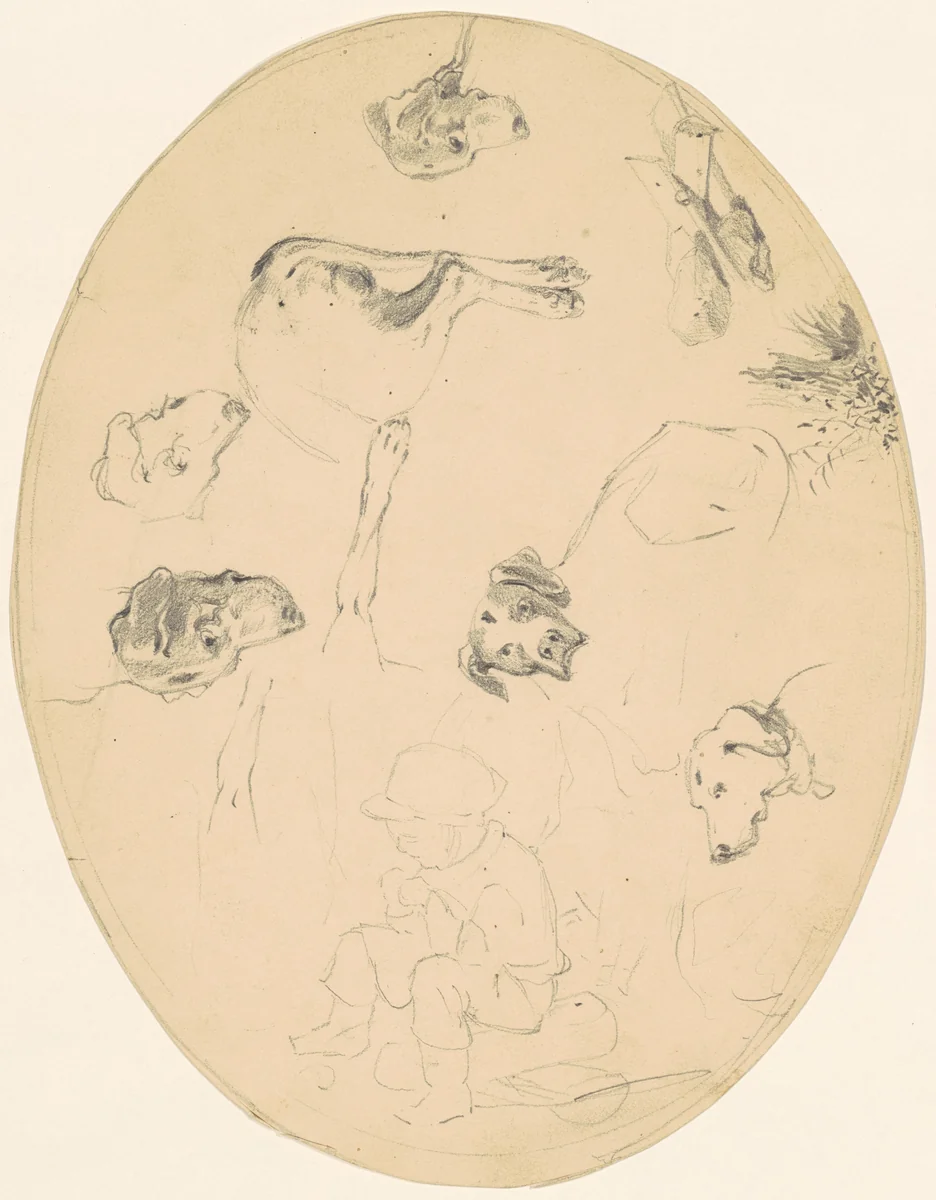 Studies of Dogs and a Seated Boy [recto] by James Goodwyn Clonney, drawing, 1840-1850