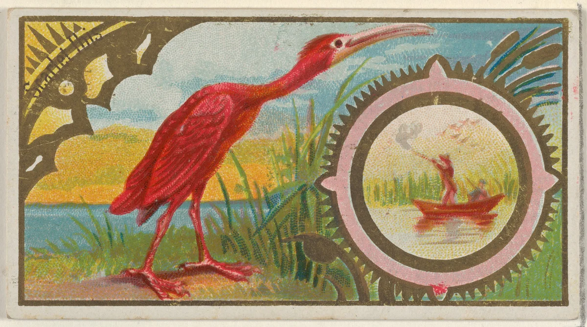 Scarlet Ibis, from the Game Birds series (N13) for Allen & Ginter Cigarettes Brands by Allen & Ginter, print, 1889