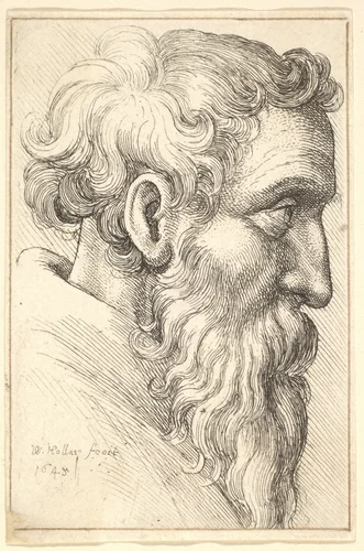 Bearded old man in profile to right by Wenceslaus Hollar, print, 1645