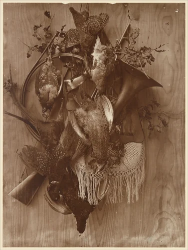 Pheasant and Grouse by Adolphe Braun, photograph, 1863-1867