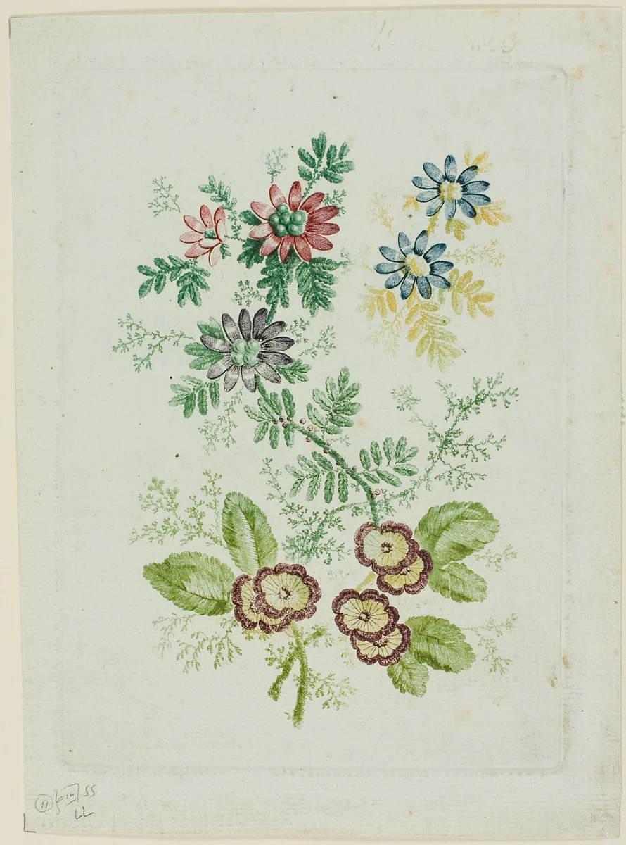 Flowers by Jean Baptiste Pillement, print, 1796-1808