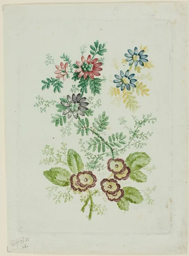 Flowers by Jean Baptiste Pillement, print, 1796-1808