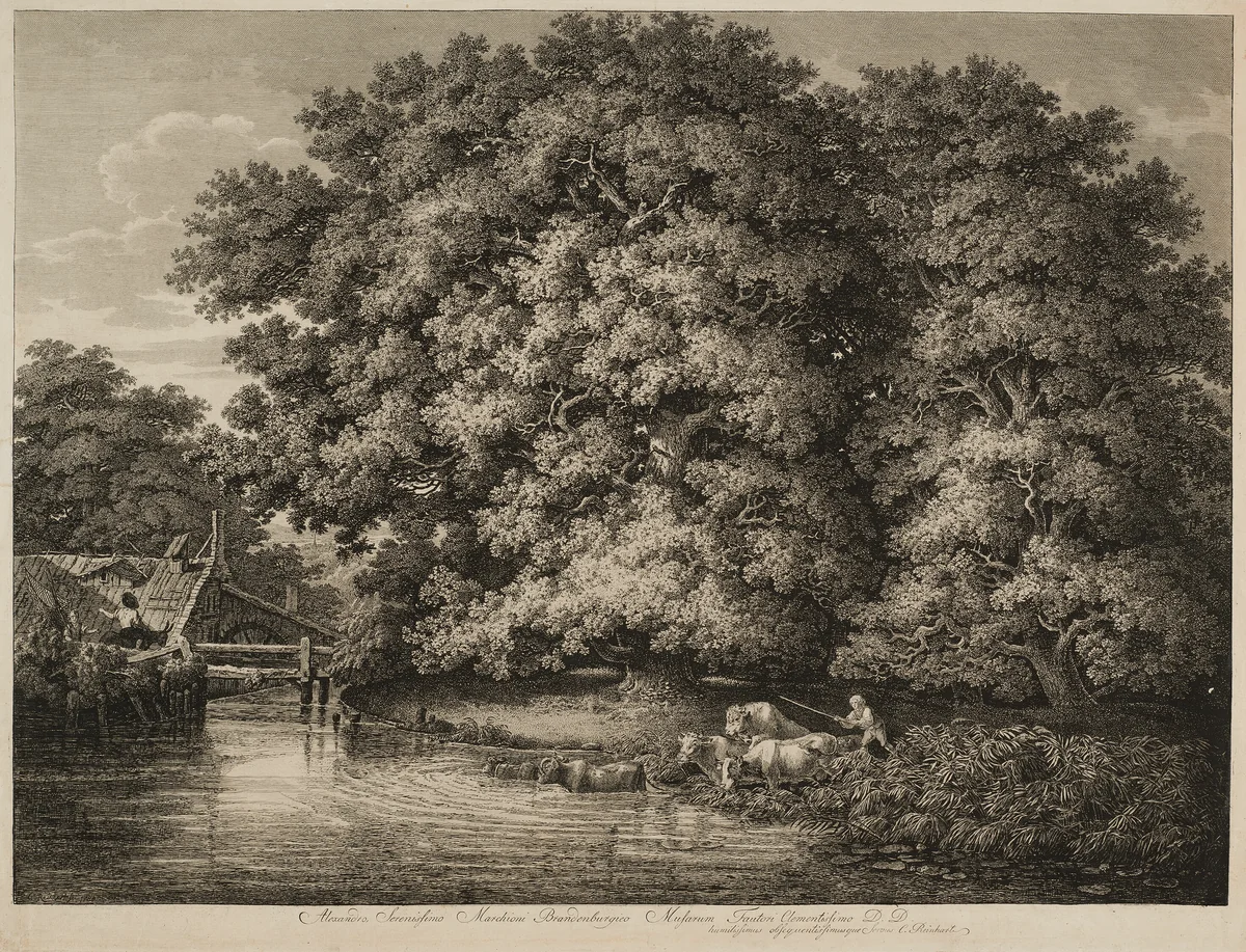 A Farmer Driving his Cattle into the Water by Johann Christian Reinhart, print, 1780
