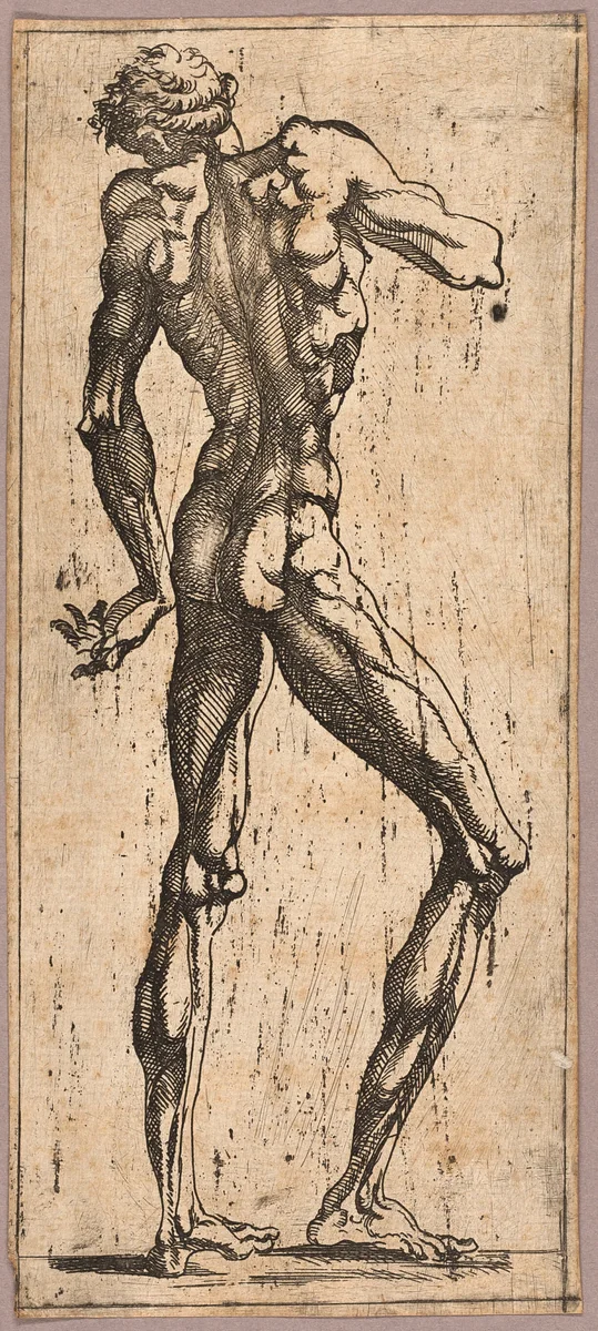 Man Turning His Head to the Left by Juste de Juste, print, 1538-1548