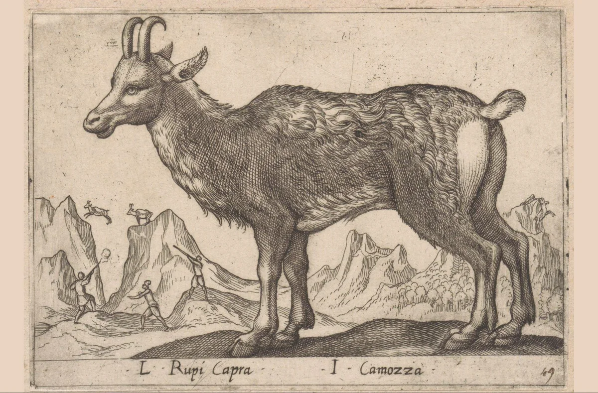 Berggeit by Antonio Tempesta, print, 1565-1630