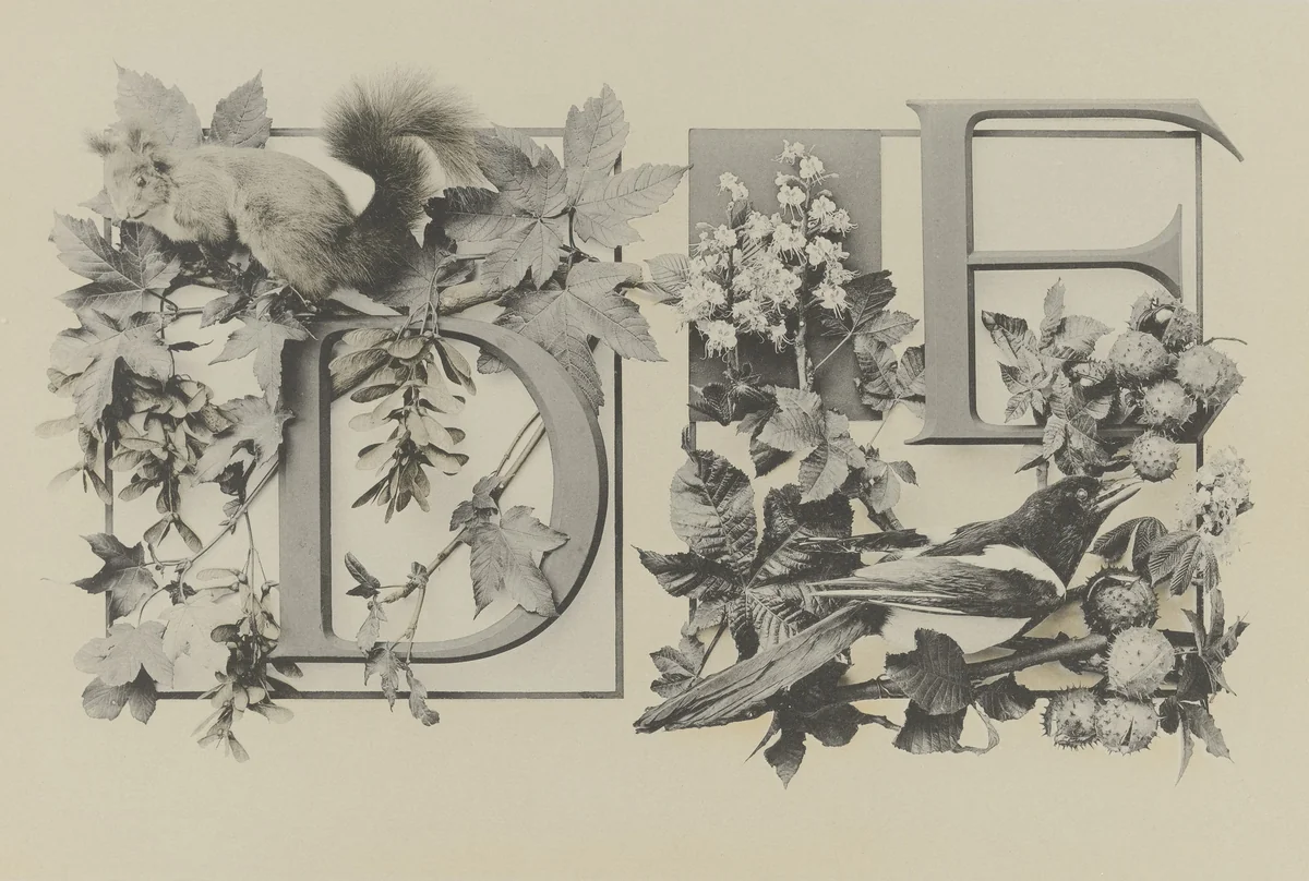 Page from Festons und Dekorative Gruppen by Unidentified Photographer, photograph, 1893