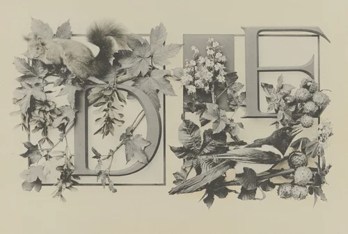 Page from Festons und Dekorative Gruppen by Unidentified Photographer, photograph, 1893