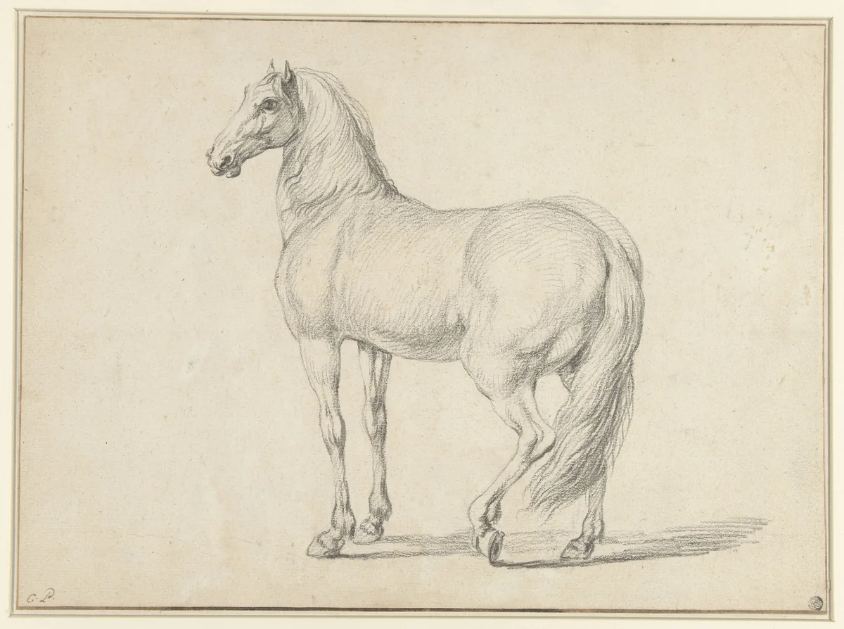 Ontzadeld paard, naar links by Charles Parrocel, drawing, 1698-1752