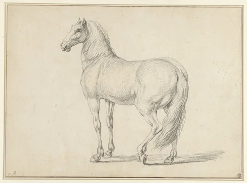 Ontzadeld paard, naar links by Charles Parrocel, drawing, 1698-1752