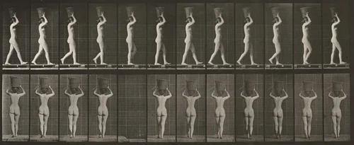 Plate Number 34. Walking and carrying a 15-lb. basket on head, hands raised by Eadweard Muybridge, photograph, 1887