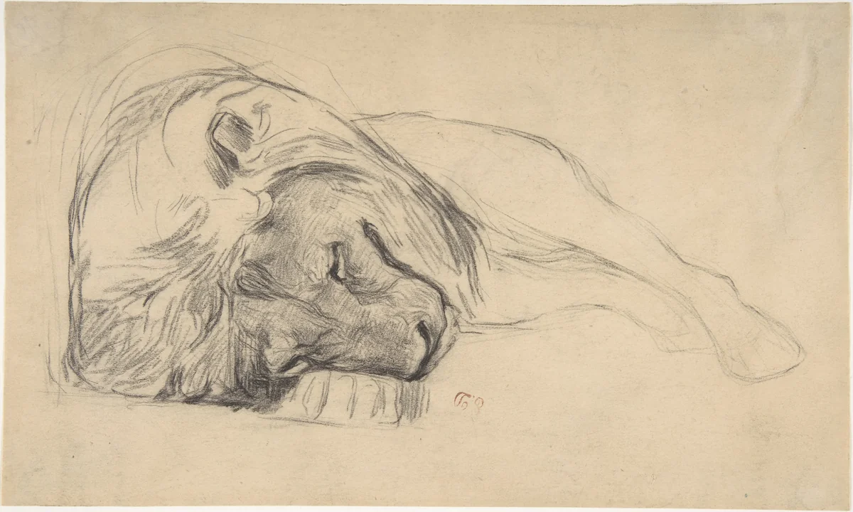 The Head of a Recumbent Lion by Pierre Andrieu, drawing, 1798-1863