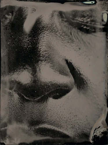 Untitled [Ref. #63] by Myra Greene, photograph, 2006