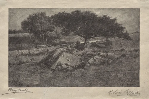 The Roadside by Henry Wolf, print, 1877-1887