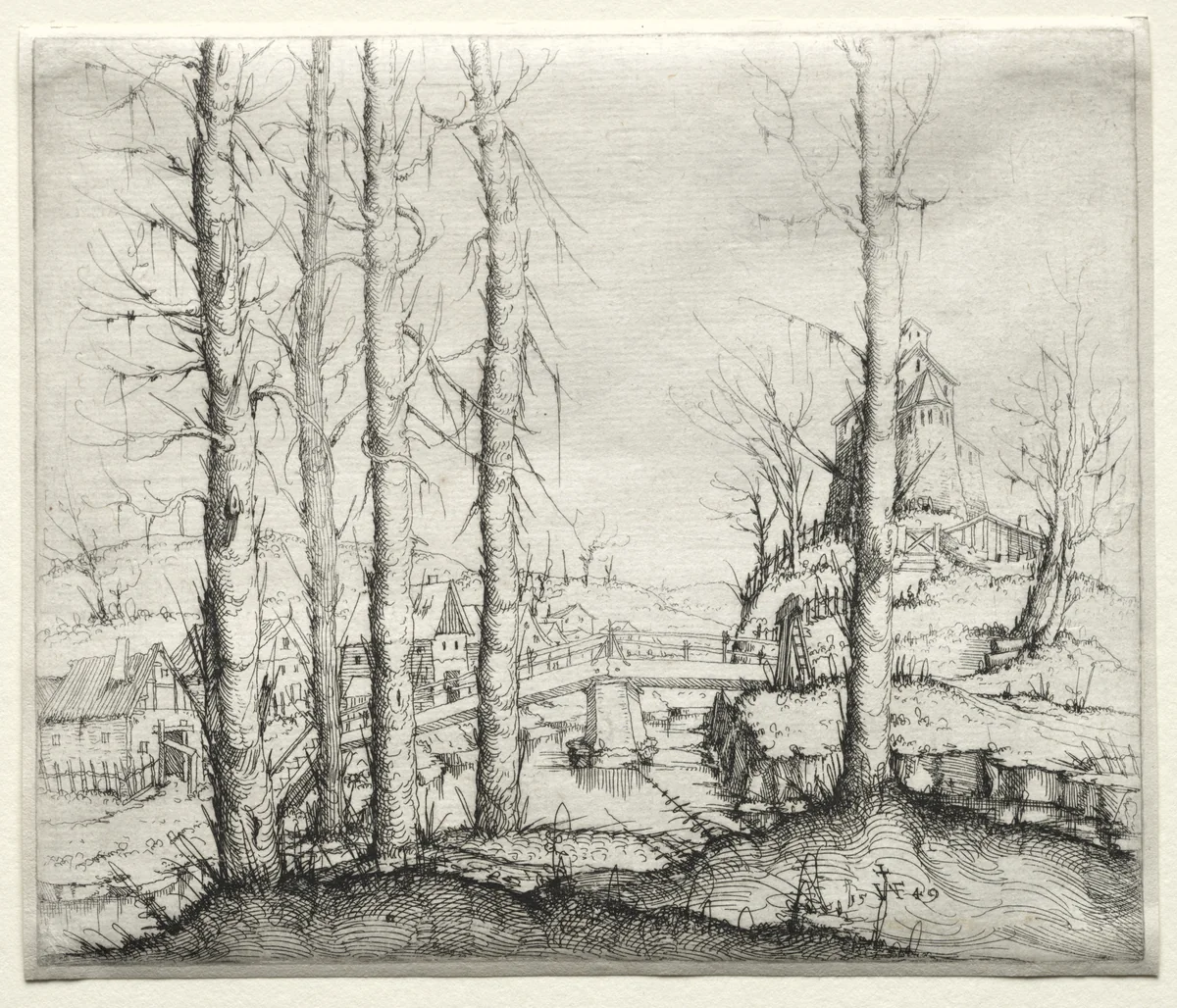 River Landscape with Five Bare Spruce Trees in the Foreground by Augustin Hirschvogel, print, 1549