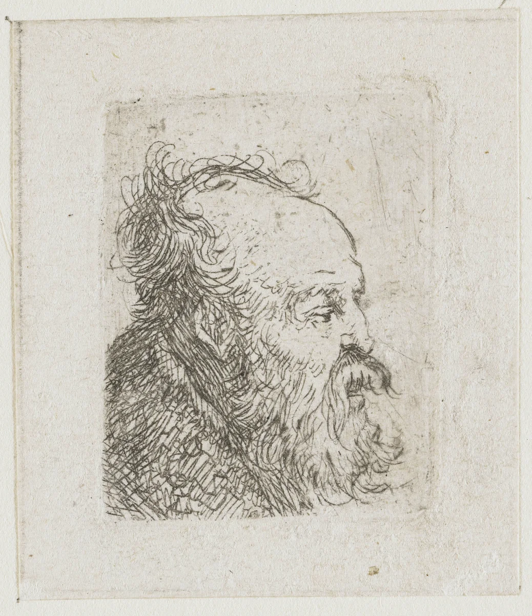 Sheet of studies of men's heads: old bearded man nearly in profile to right: mouth half open by Rembrandt van Rijn, print, 1629