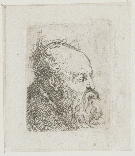 Sheet of studies of men's heads: old bearded man nearly in profile to right: mouth half open by Rembrandt van Rijn, print, 1629