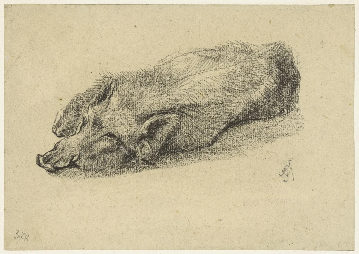 Liggend zwijn, met de kop naar links by Charles Edmé Saint-Marcel-Cabin, drawing, 1829-1890