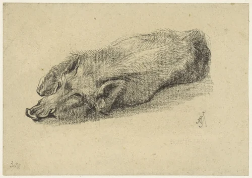 Liggend zwijn, met de kop naar links by Charles Edmé Saint-Marcel-Cabin, drawing, 1829-1890
