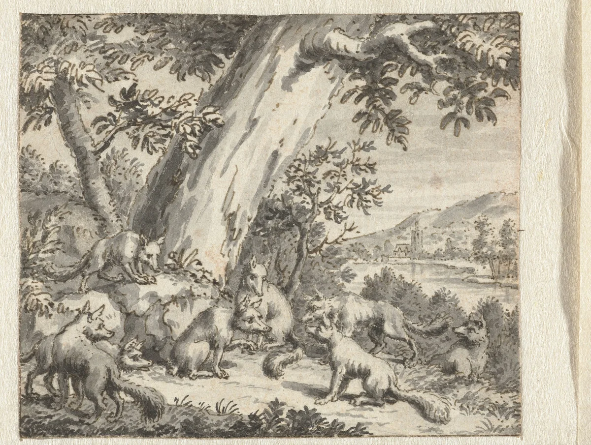 Vos die zijn staart liet knippen by anonymous, drawing, 1668-1740