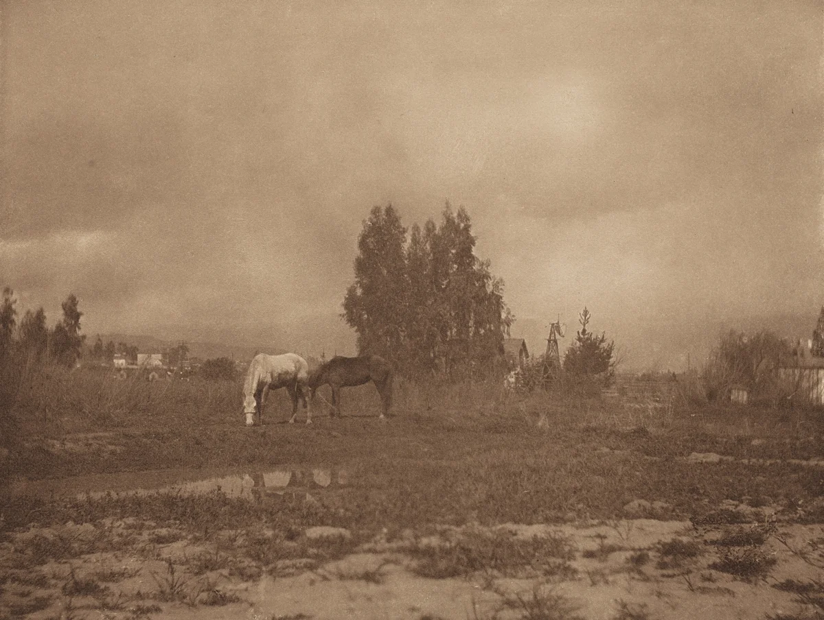 Pasadena Landscape by William B. Post, photograph, 1899