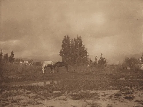 Pasadena Landscape by William B. Post, photograph, 1899