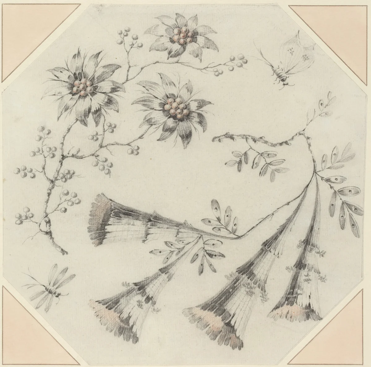 Trumpet Flowers and Daisies by Jean Baptiste Pillement, drawing, 1728-1808