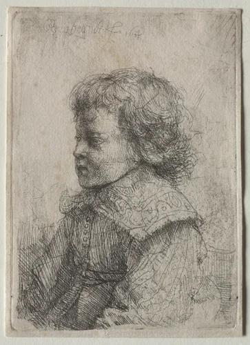 Portrait of a Boy in Profile by Rembrandt van Rijn, print, 1641