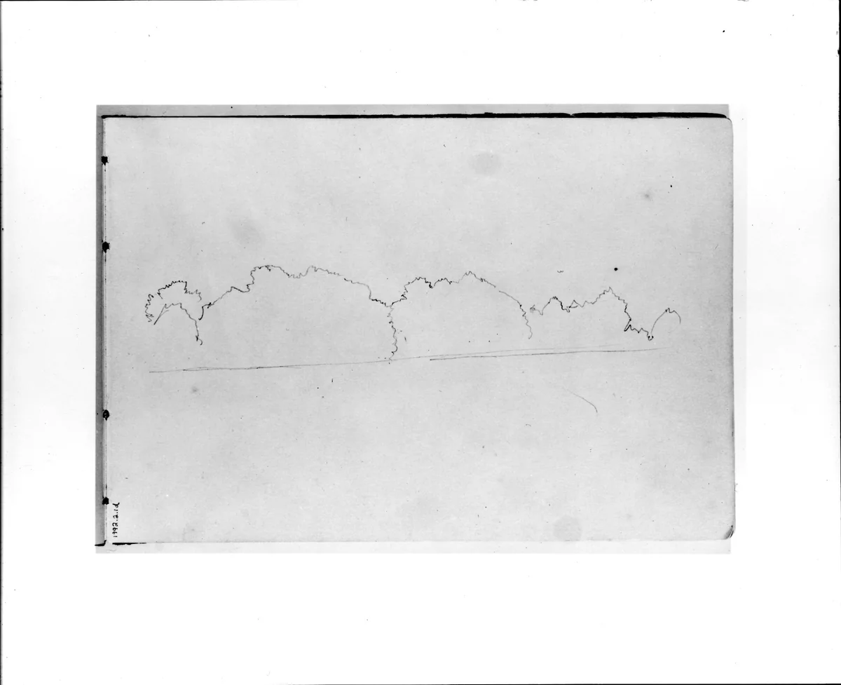 Outline Sketch of Tress (from Sketchbook VII) by William Trost Richards, artwork, 1886