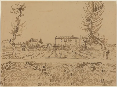 Ploughman in the Fields near Arles by Vincent van Gogh, drawing, 1888