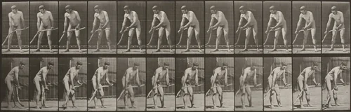 Plate Number 391. Farmer, mowing grass by Eadweard Muybridge, photograph, 1887