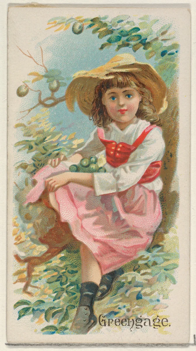 Greengage, from the Fruits series (N12) for Allen & Ginter Cigarettes Brands by Allen & Ginter, print, 1891