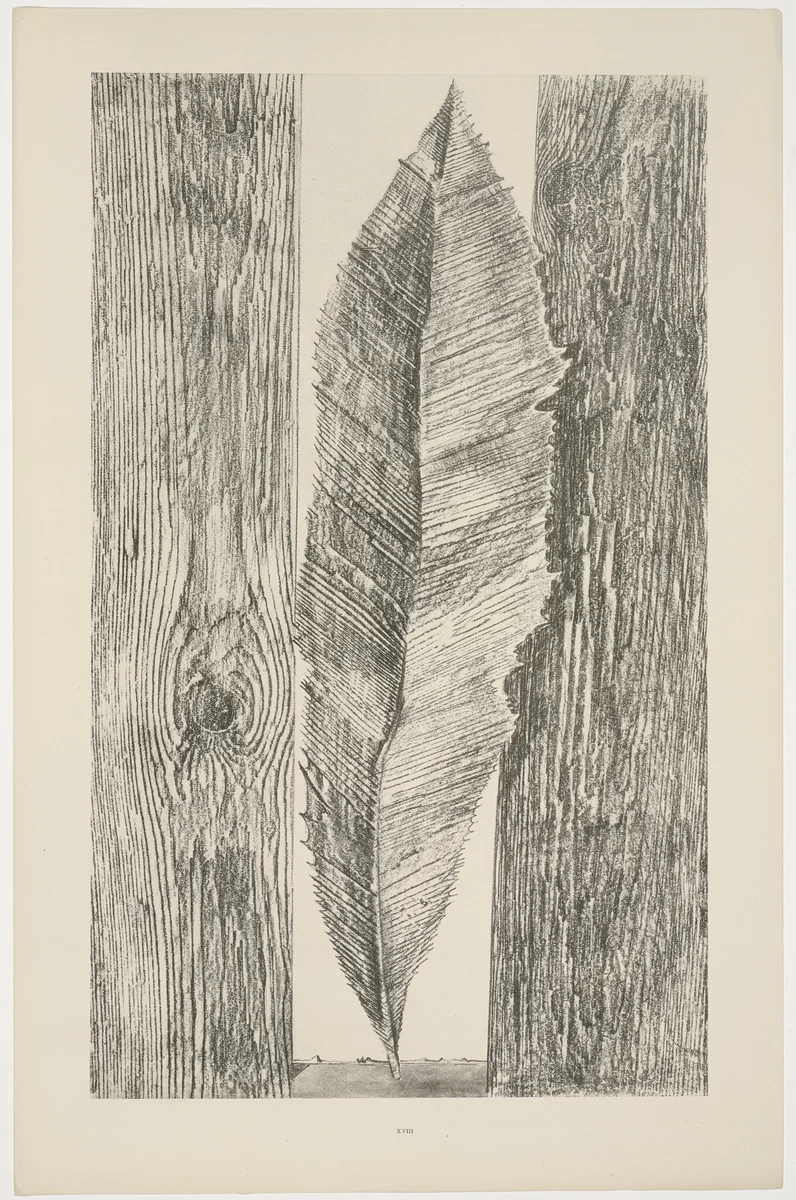 The Habit of Leaves (Les Moeurs des feuilles) from Natural History (Histoire naturelle) by Max Ernst, print, 1925