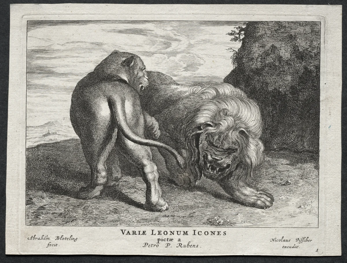 Various Lions by Abraham Blooteling, print, 1655-1690