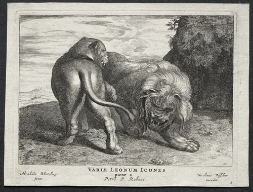 Various Lions by Abraham Blooteling, print, 1655-1690