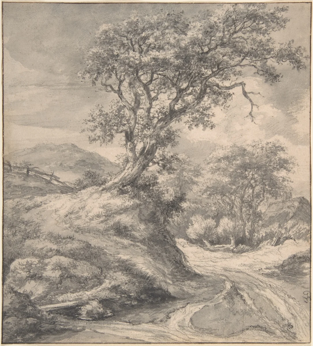 Dune Landscape with Oak Tree by Jacob van Ruisdael, drawing, 1650-1655
