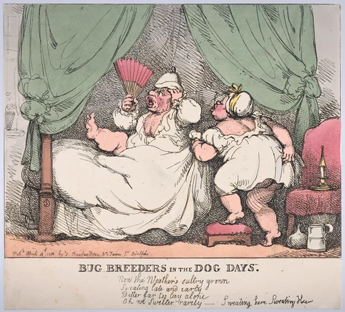 Bug Breeders in the Dog Days by Thomas Rowlandson, print, 1812