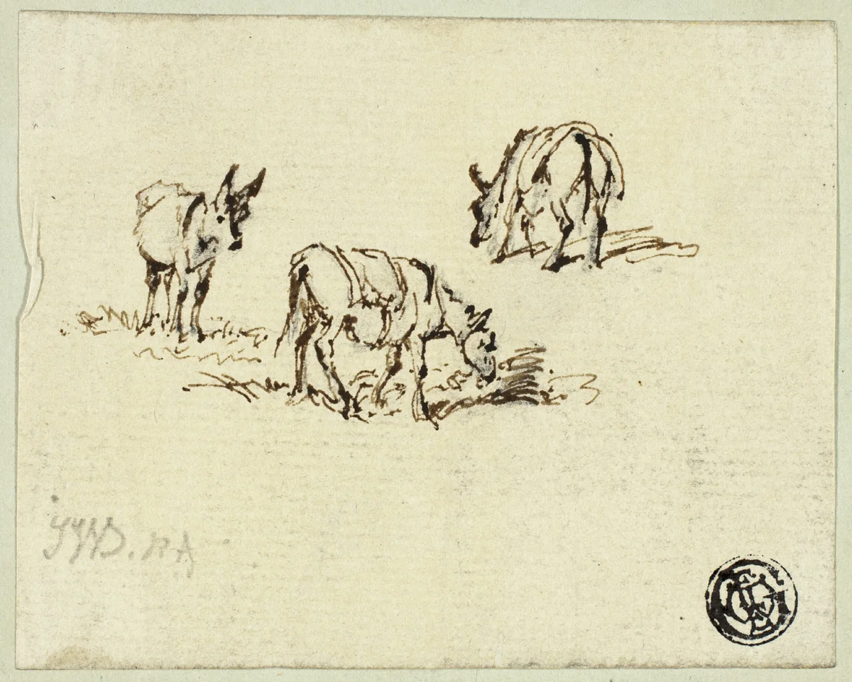 Horse and Mules Grazing by James Ward, drawing, 1789-1859