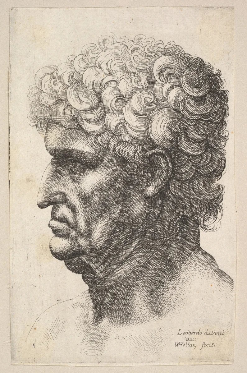 Head of a man with thick curly hair in profile to the left by Wenceslaus Hollar, print, 1644-1652